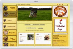 Tierschutzverein Gran Canaria Pets - dynamische Website - CMS